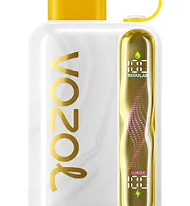 Vozol Star 40000 Vape