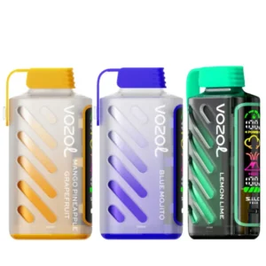 Vozol Gear Power 20000