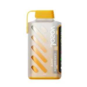 vozol-gear-power-20000