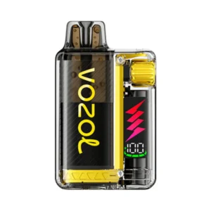 VOZOL Vista Plug 10000